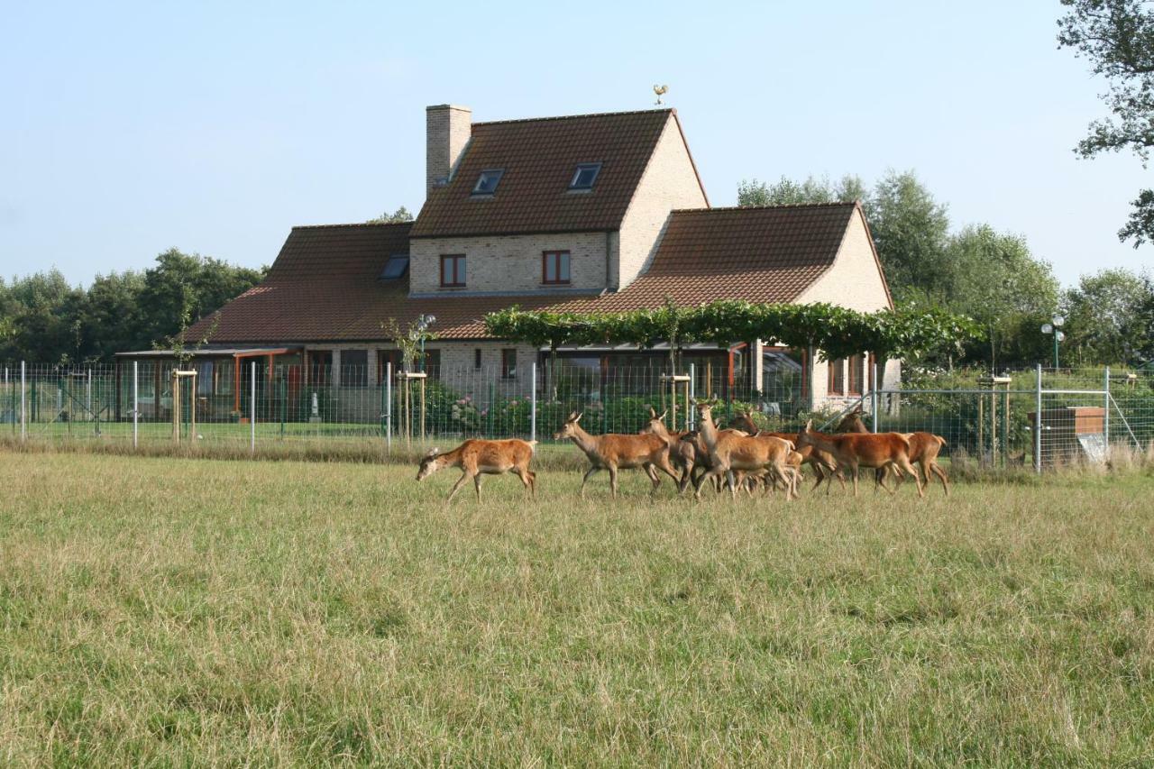 'T Leeg Huys Villa Lo-Reninge Екстериор снимка